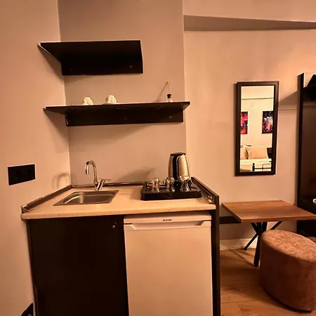 Hotell Taksim Park *